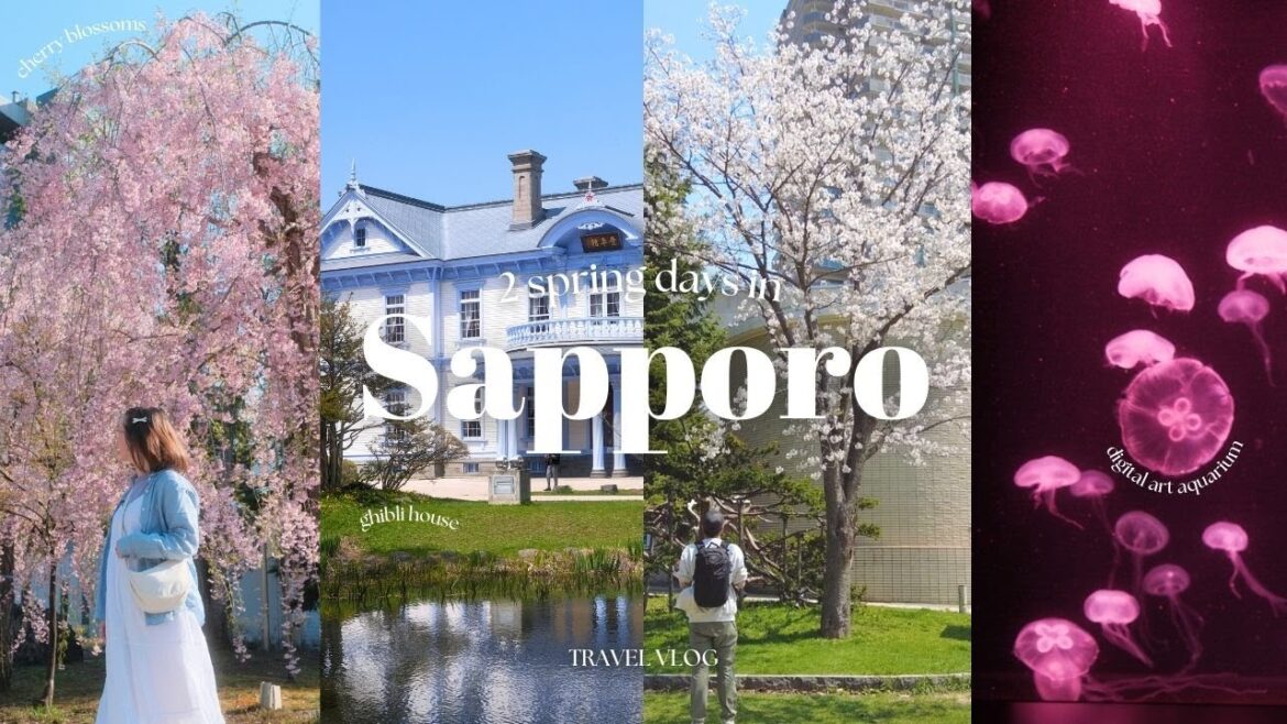 2 spring days in sapporo, hokkaido vlog - cherry blossoms, ghibli house, digital art aquarium