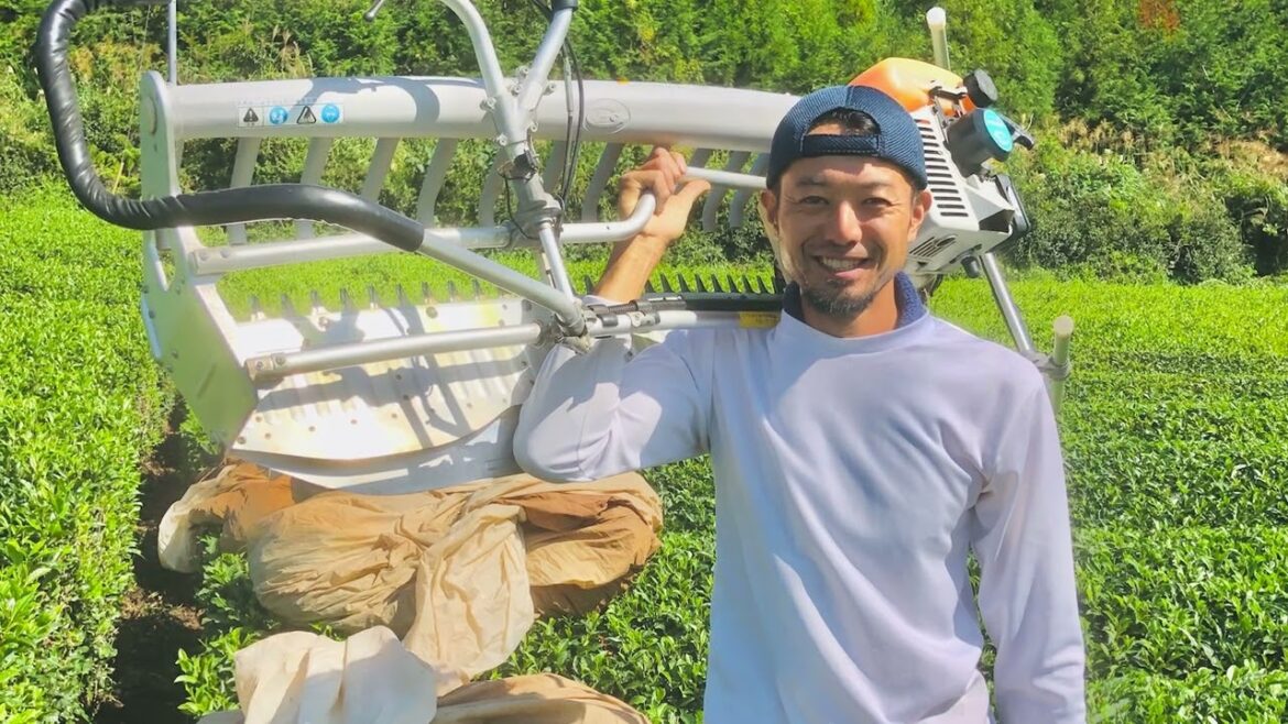 Ihachi Farm Shizuoka