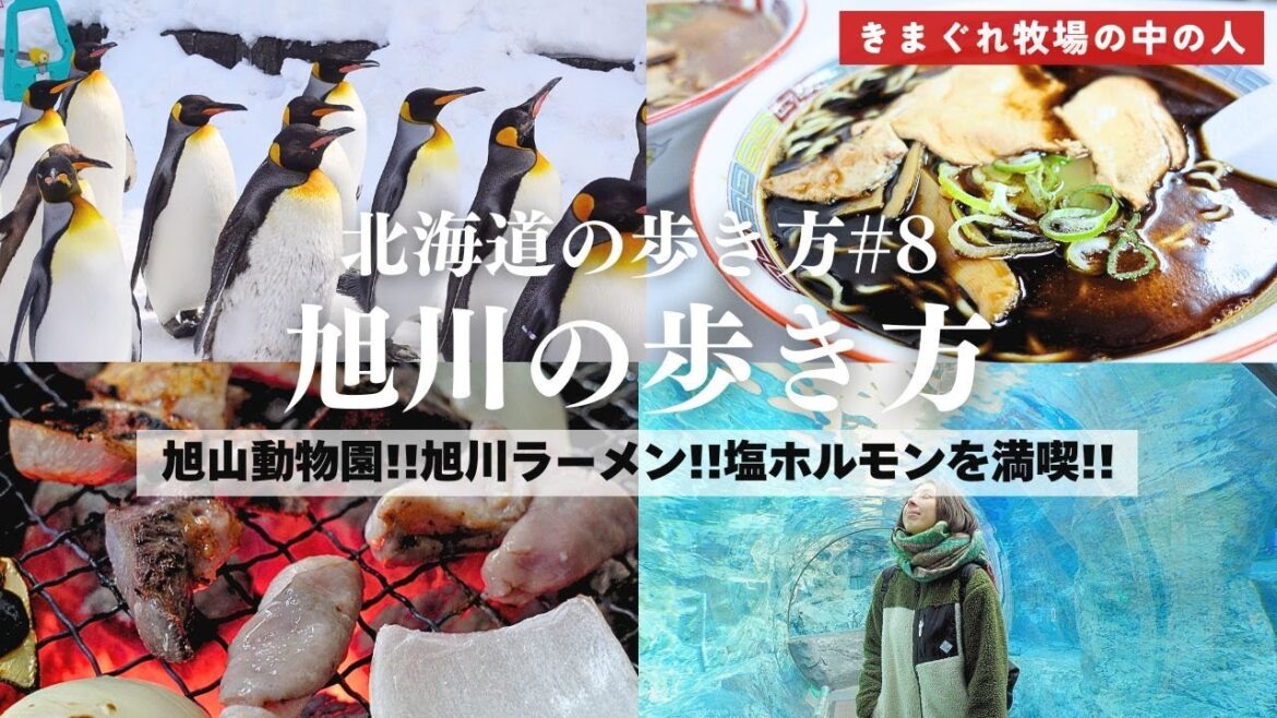 【旭川観光】旭川満喫旅!旭山動物園&激ウマ旭川ラーメン&塩ホルモン! 【旭川観光】旭川満喫旅!旭山動物園&激ウマ旭川ラーメン&塩ホルモン!