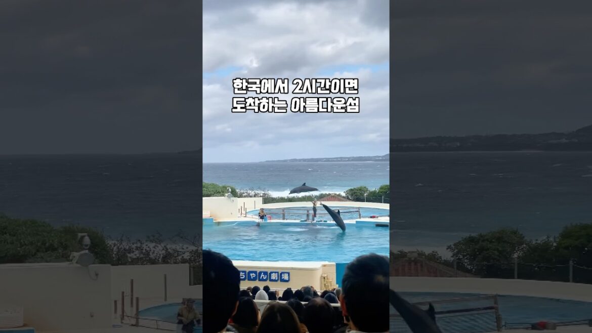 오키나와 여행의 모든것 A to Z #여행