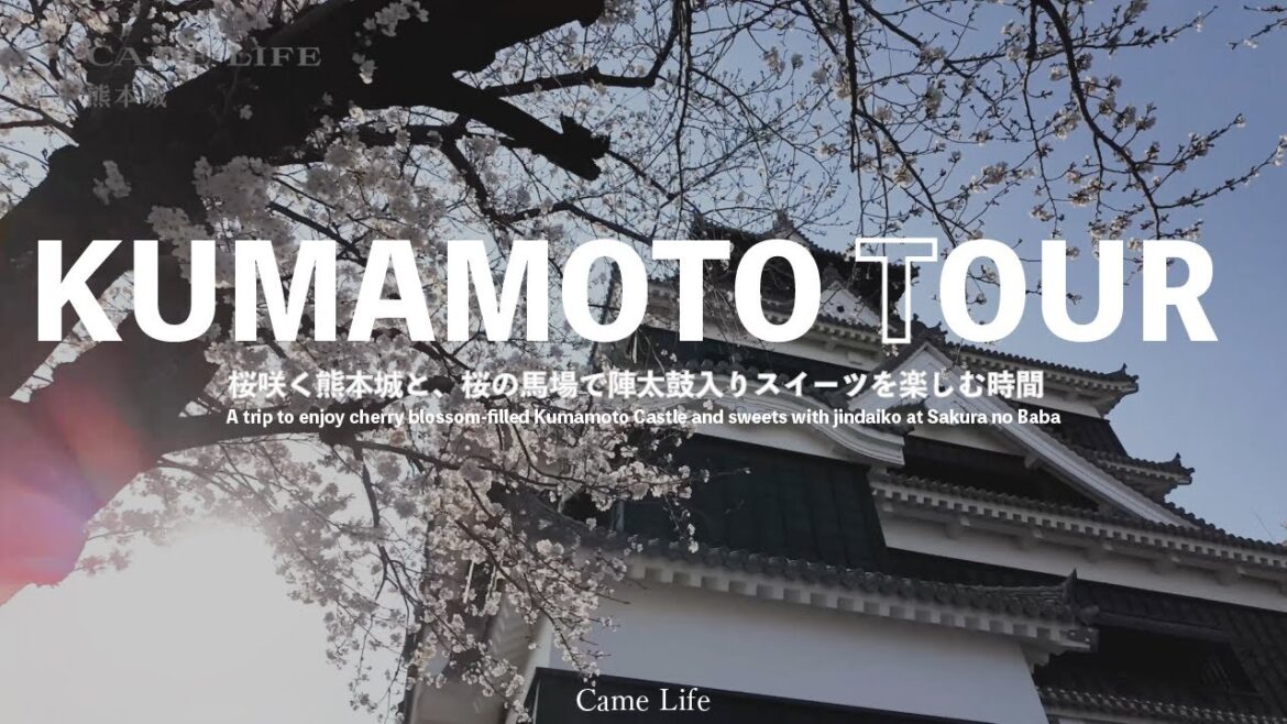 【熊本旅】熊本城と桜🏯ソフトクリーム. Visit Kumamoto Castle with its cherry blossoms in bloom.enjoy the famous sweets. 【熊本旅】熊本城と桜🏯ソフトクリーム. Visit Kumamoto Castle with its cherry blossoms in bloom.enjoy the famous sweets.