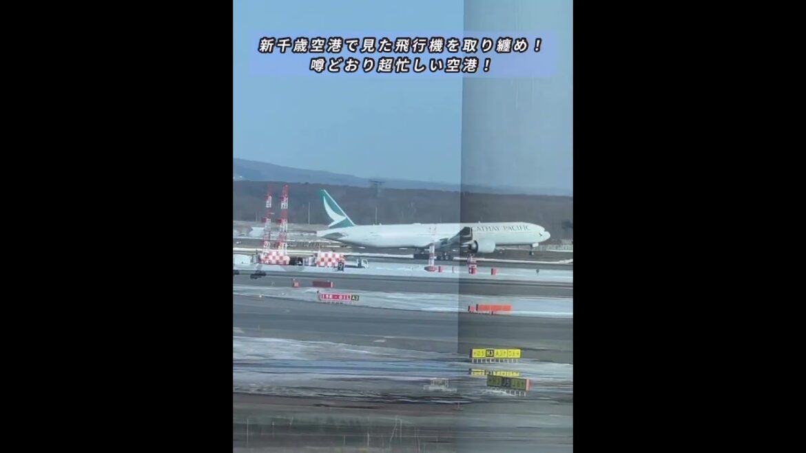 【新千歳空港】大忙しの空港！次々と離発着する飛行機たち✈️✨ #shorts #空港ウォッチング #飛行機動画