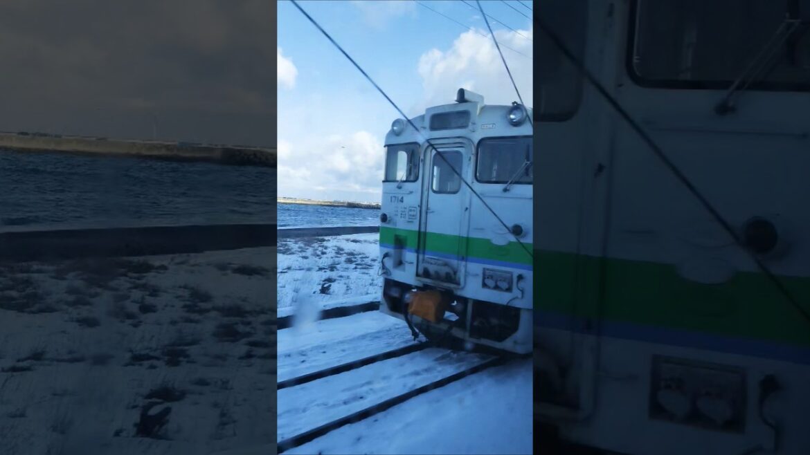 Snow and sea view from Japan #hokkaido #trainjourney