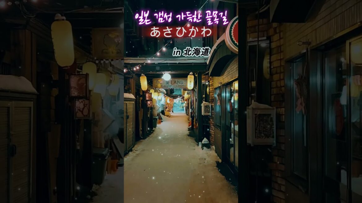 일본여행-일본갬성 아사히카와 골목길 #홋카이도여행 #아사히카와 #삿포로 #일본여행  #travel #다카마쓰 #asahikawa #홋카이도#hokkaido #北海道