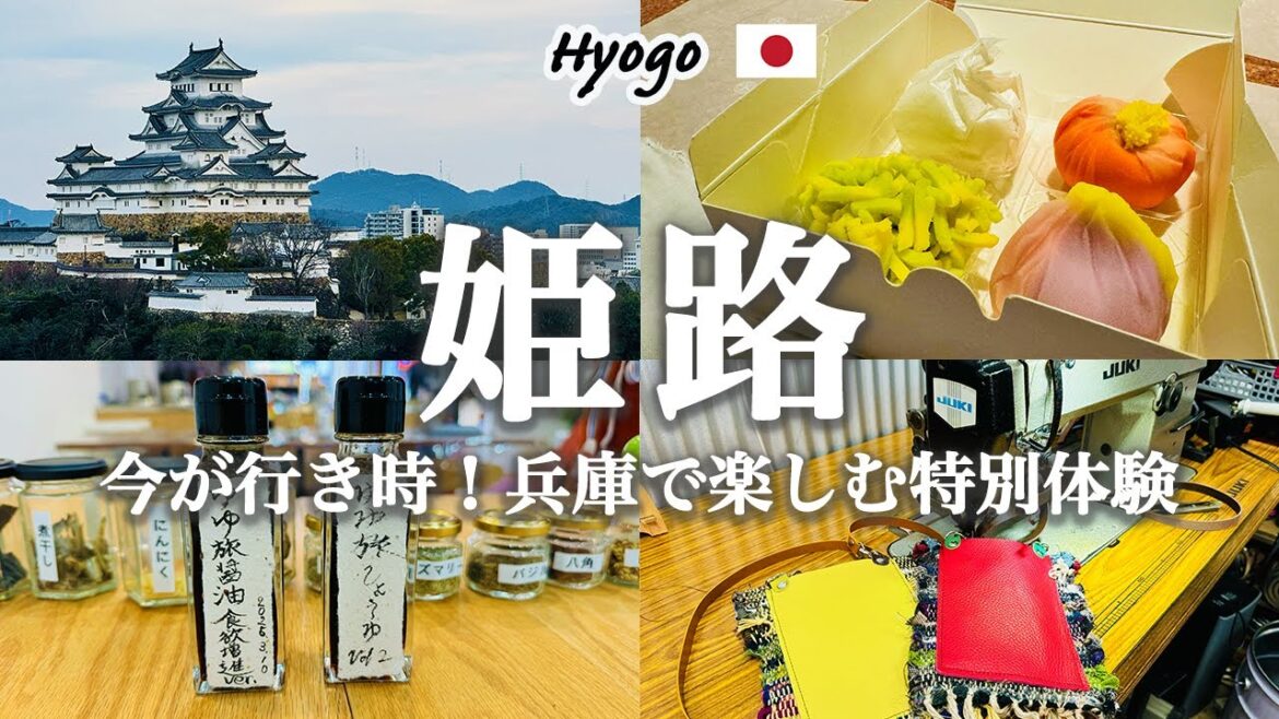 【兵庫_姫路旅行】今こそ兵庫へ行こう！兵庫で楽しむ4つの特別体験が最高すぎた！播州手織り体験×和菓子作り体験×オリジナル醤油作り体験×姫路城下町巡りe-bikeサイクリング｜体験型旅行