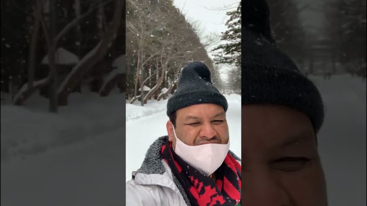 My Biggest Joy During Winter Travel | Sudden Heavy Snow Drops at Hokkaido Jingu Maruyama Park My Biggest Joy During Winter Travel | Sudden Heavy Snow Drops at Hokkaido Jingu Maruyama Park