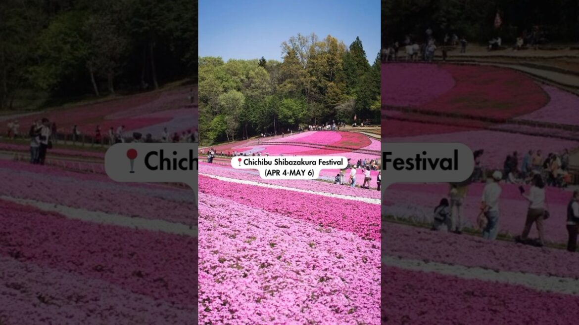 Best Things to Do in TOKYO in APRIL #japan #japantravel #japantrip Best Things to Do in TOKYO in APRIL #japan #japantravel #japantrip