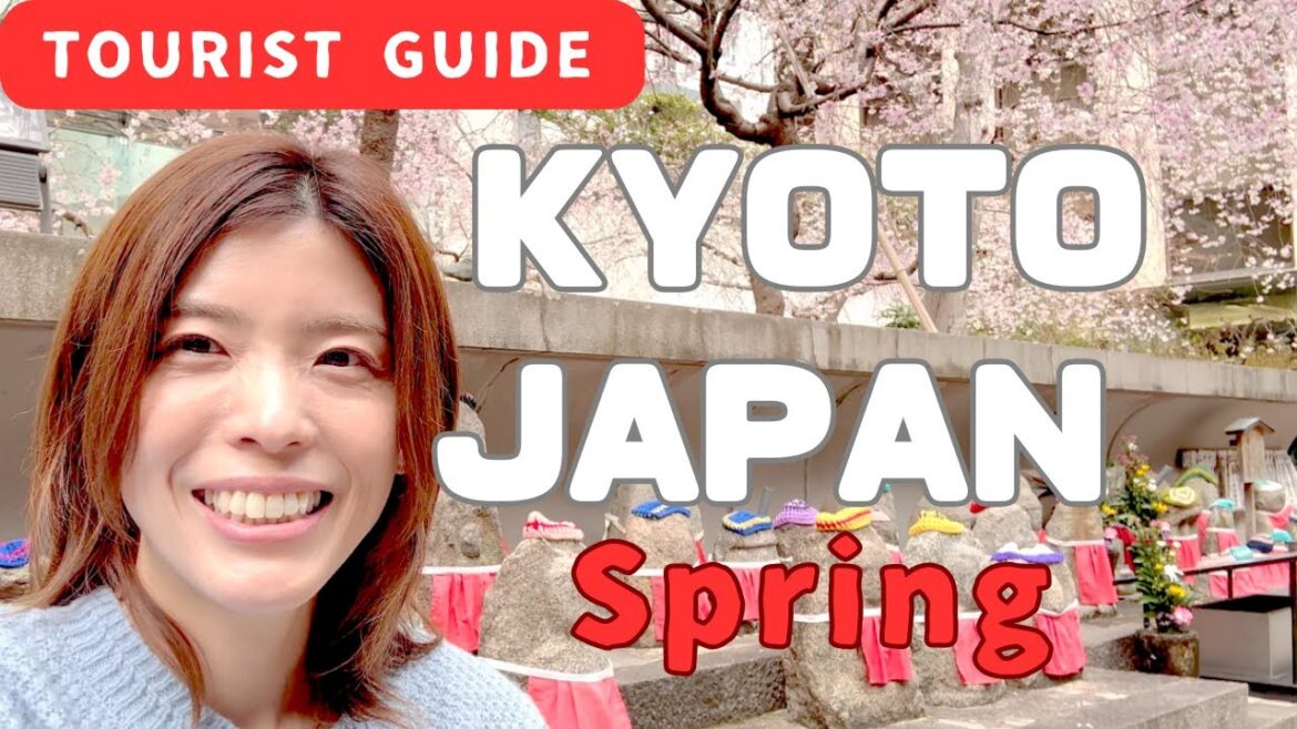 March 27,2025 Spring of Kyoto Japan / Rokkakudo temple / cherry blossoms March 27,2025 Spring of Kyoto Japan / Rokkakudo temple / cherry blossoms