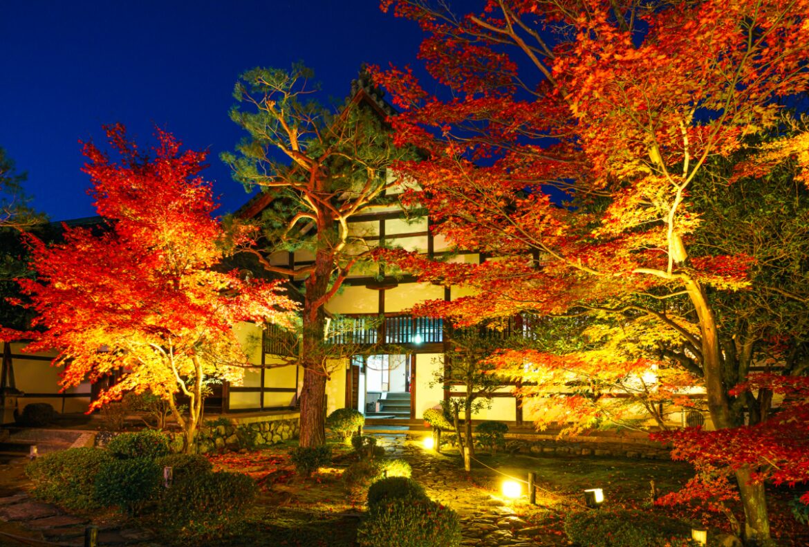 Rokuoin Temple in Arashiyama, Kyoto is hosting a special light-up this autumn Rokuoin Temple in Arashiyama, Kyoto is hosting a special light-up this autumn