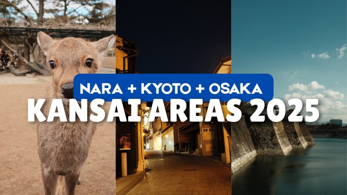 Japan Vlog | Universal Studios + Nara Park + Kyoto Day Trip