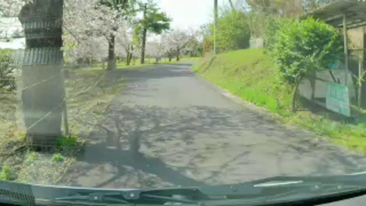 【鹿児島の温泉と旅案内】LIVEテスト