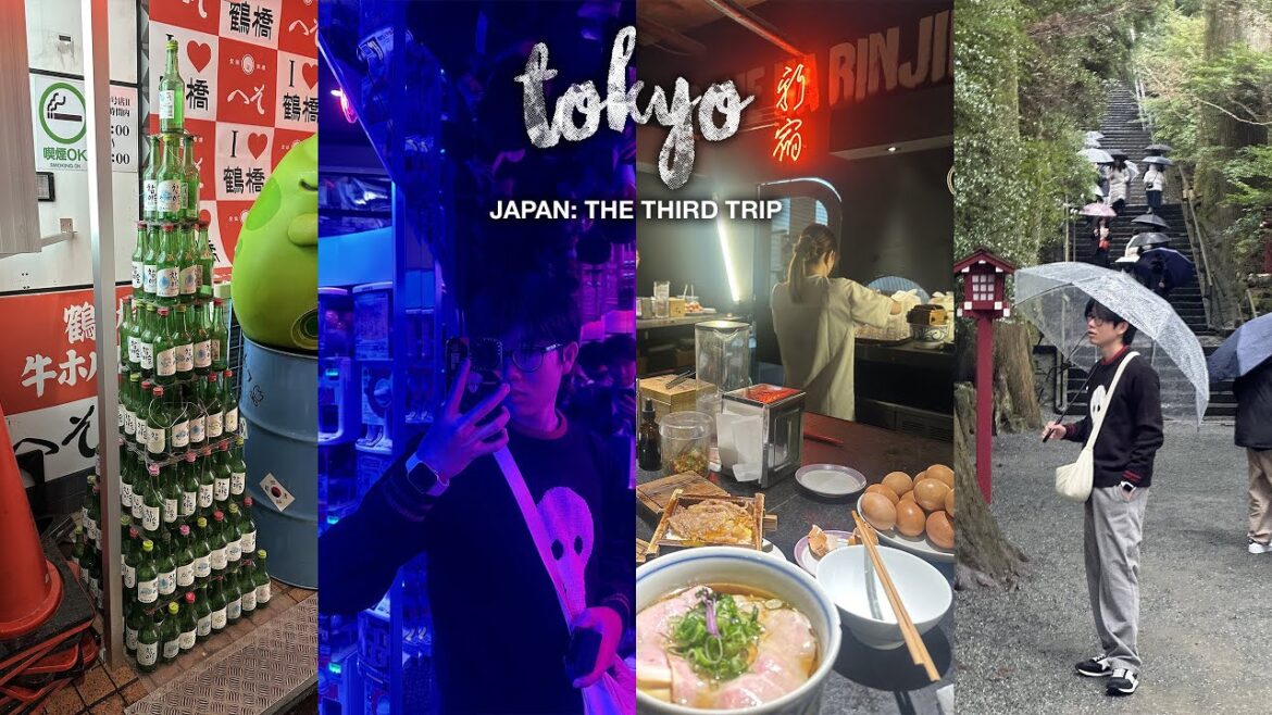 tokyo // shuudan chasing! late night arcade runs, shinjuku, odaiba and another hakone day trip