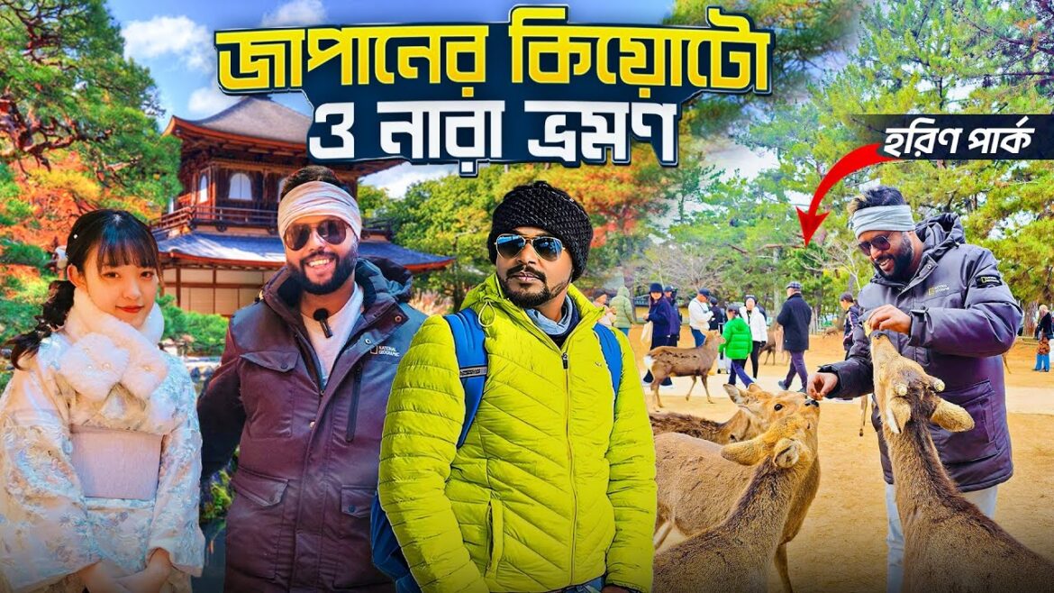 Kyoto & Nara One Day Tour | Nara Deer Park & Arashiyama Bamboo Forest | with@TravelWithKoushik Kyoto & Nara One Day Tour | Nara Deer Park & Arashiyama Bamboo Forest | with@TravelWithKoushik