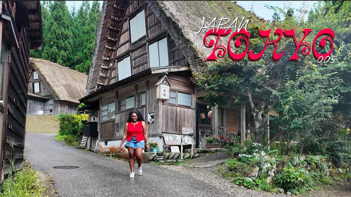 solo japan diaries ep5 | heading to nagoya & gifu, exploring takayama and shirakawa-go (unesco) solo japan diaries ep5 | heading to nagoya & gifu, exploring takayama and shirakawa-go (unesco)