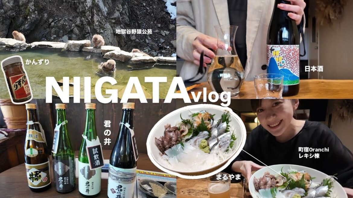 【新潟旅行vlog🍶】古民家に宿泊🏘️ / 酒蔵 / 日本酒メイン🌾 / おさしみ調達 / サル見に行った / 温泉に蕎麦に盛りだくさん🥢 &more.. 【新潟旅行vlog🍶】古民家に宿泊🏘️ / 酒蔵 / 日本酒メイン🌾 / おさしみ調達 / サル見に行った / 温泉に蕎麦に盛りだくさん🥢 &more..