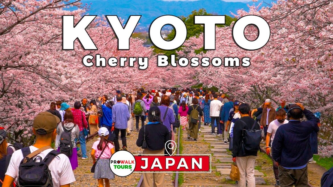 🌸 Cherry Blossoms Walk along Keage Incline | Kyoto, Japan 🇯🇵 | 4K 60fps | Captions