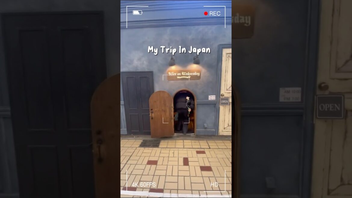 Alice on Wednesdays 🐇 #japan #travel #adventure