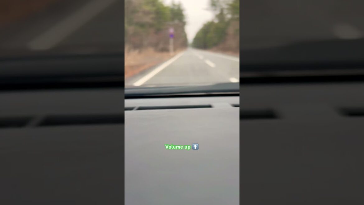 👇Musical road in Fujikawaguchiko (near Mt. Fuji) - Japan