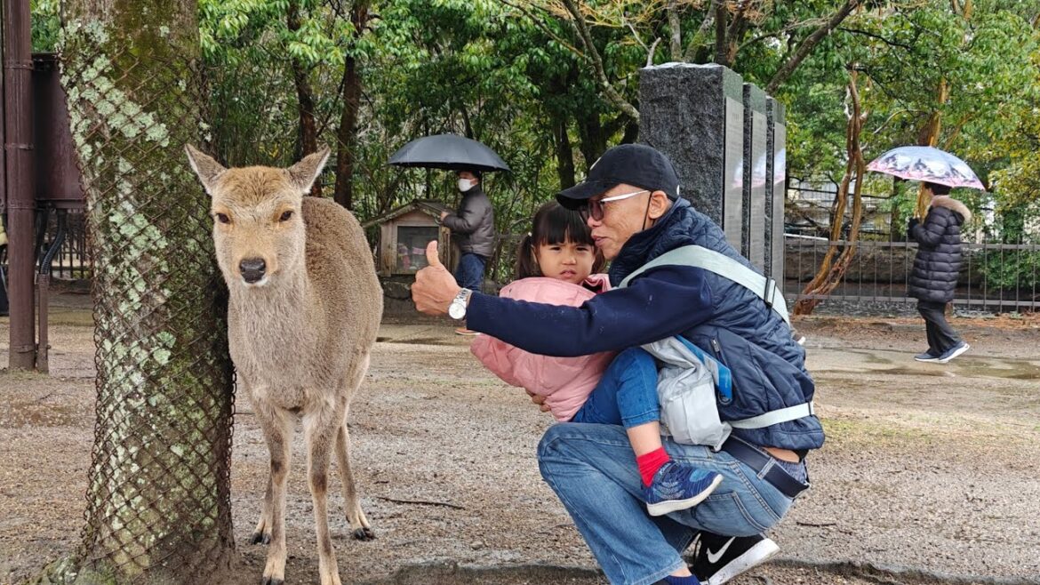 Day 1 Atomy Star Master Japan Tour March, 2025