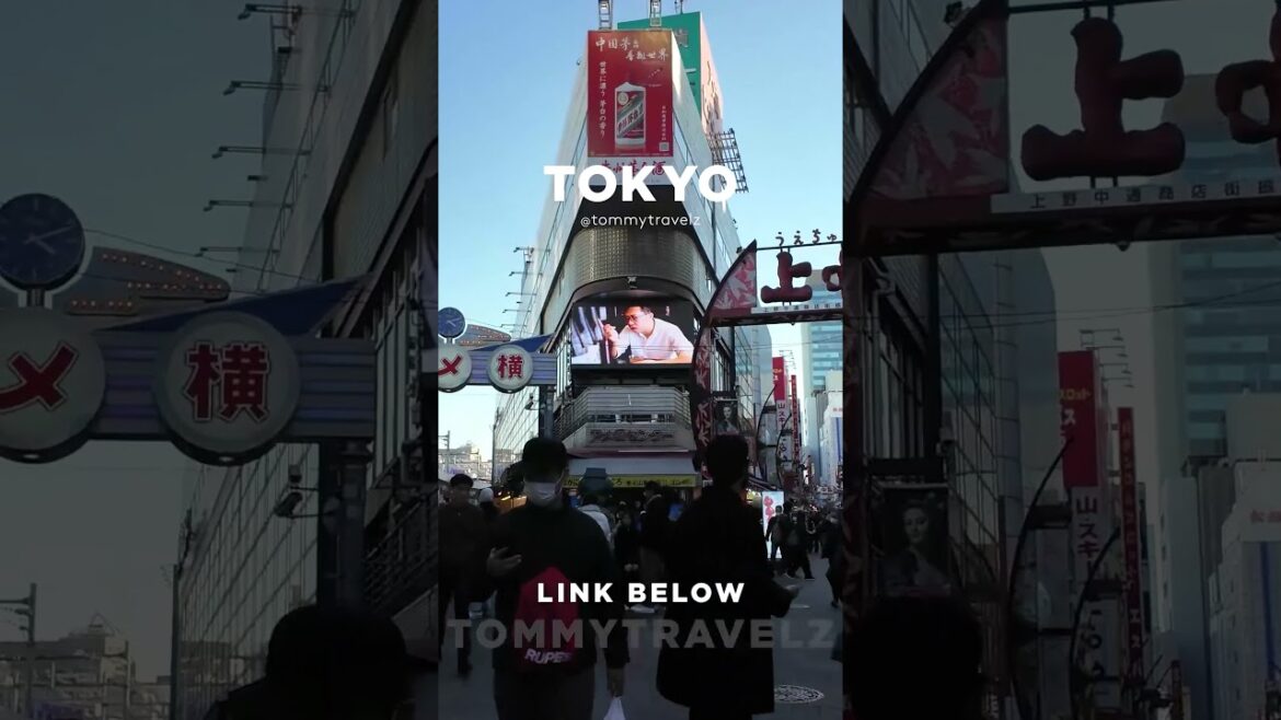 #tokyo #osaka #ohtani #kyoto #shibuya #ginza #onsen #shinjuku #soba #ramen #tokyotravel #japan