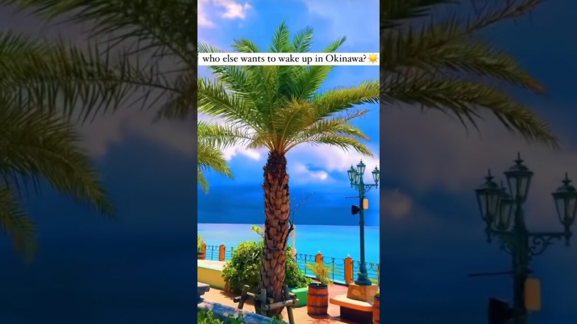 NEXT STOP IS: Okinawa π―π΅ Japan #travel #okinawa #japanese #japantravel #asia #japantravel NEXT STOP IS: Okinawa π―π΅ Japan #travel #okinawa #japanese #japantravel #asia #japantravel