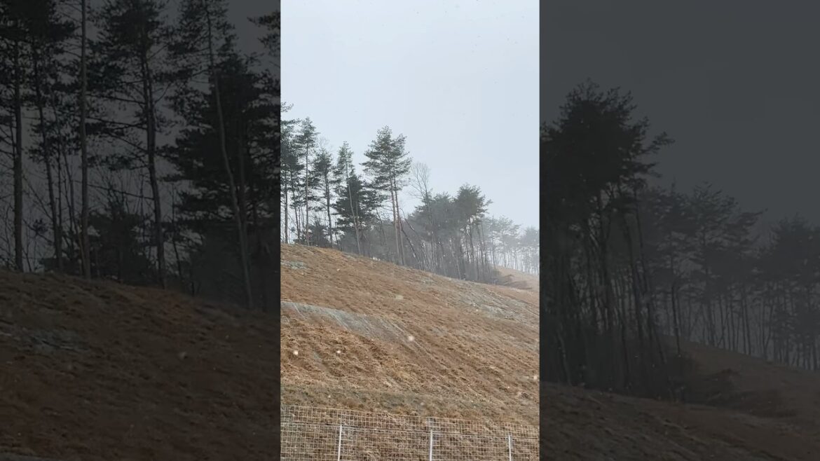 福島市標高524m☃️雪☀️24時間で寒暖差20°はヤバイ😰1°【masamasa】#福島県福島市#吾妻連峰#Fukushima