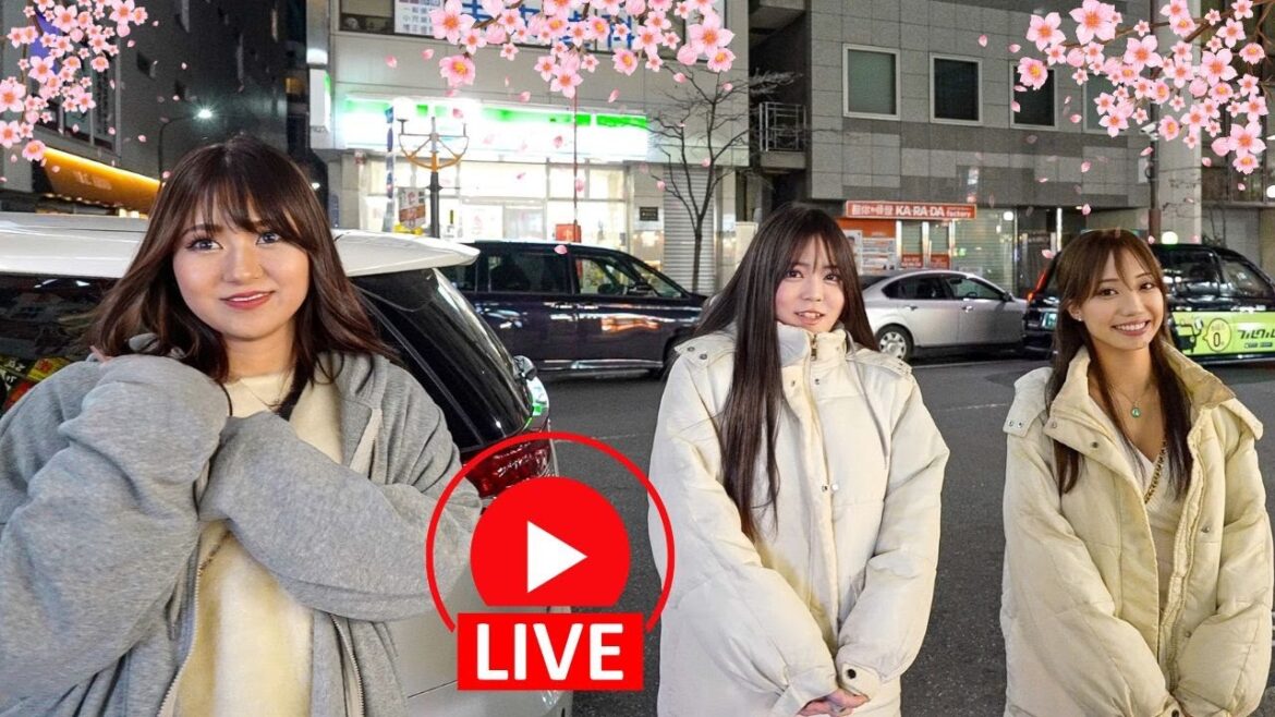 Tokyo’s Secret Nightlife Playground & Cherry Blossom