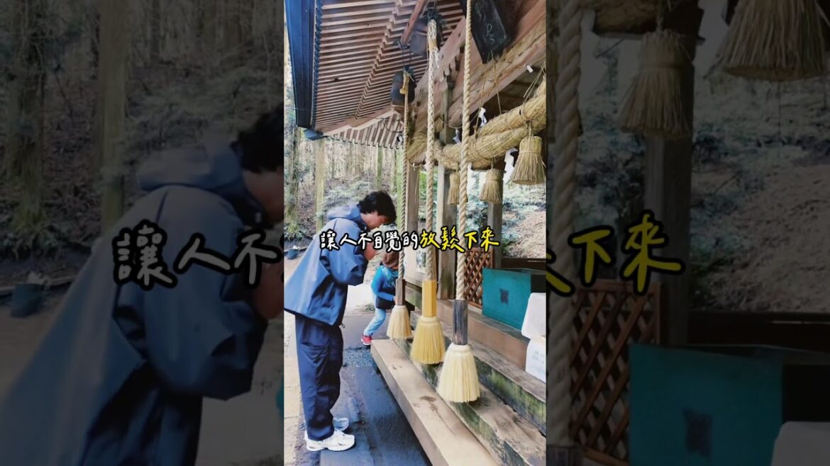 熊本的上色見熊野座神社！走進這條參道，彷彿踏入另一個世界！一個來熊本必來的行程喔！#熊本旅行 #日本秘境 #心靈之旅 #靜謐時光 #神社 #日本神社 #上色見熊野座神社 #熊本景點 #日本景點