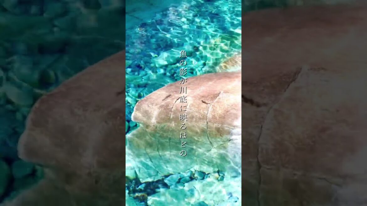 長野の木曽路にある超綺麗な渓谷#柿其渓谷を紹介します