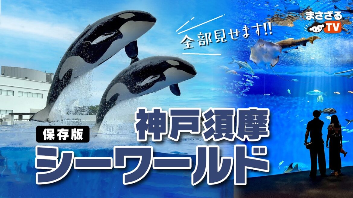 【保存版】神戸須摩シーワールド全部見せます!!「すべてのいのちは、こんなに大きい。」