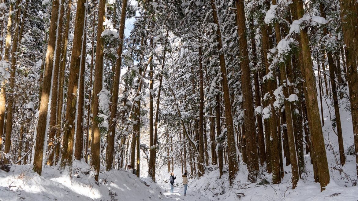 Hiking the Nakasendo Trail in Japan in Winter with Heavy Snow