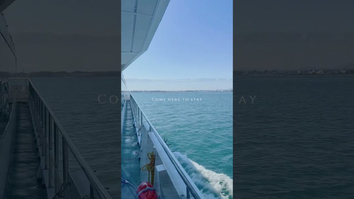 【2025 仙台】#2 松島遊船 #travel #旅行 #短影音 #松島 #遊船