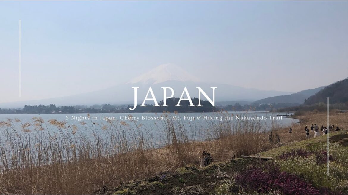 Five Nights in Japan (ජපන් සංචාරය) 🌸