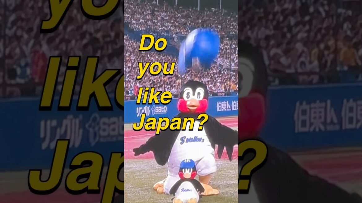 Japan baseball is PERFECT 🇯🇵⚾️ #japantravel #japan #travel #solotravel #travelgoals #baseball #fyp