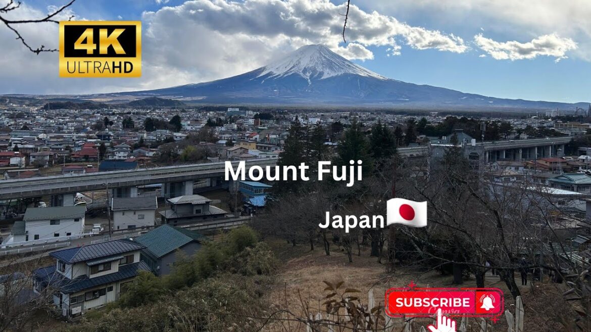 Japan Vlog| Day trip to Mount Fuji | Mount Fuji | Japan| Day 4 | [4K]