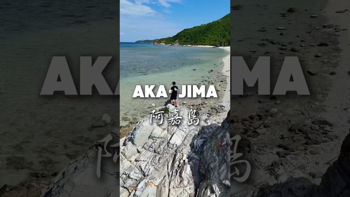 Kerama Inseln Teil 3 – Aka-jima 🦌 #okinawa #japan #japanreise #akajima #keramaislands Kerama Inseln Teil 3 - Aka-jima 🦌 #okinawa #japan #japanreise #akajima #keramaislands