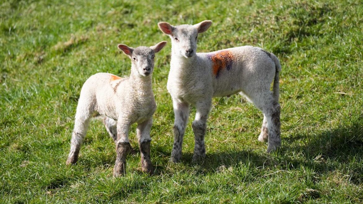 Spring equinox could be hottest day of 2025 so far and ‘well above average’