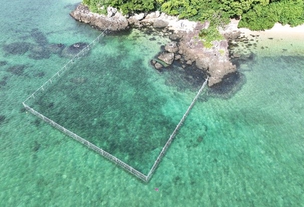 Project site