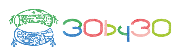 30by30 logo