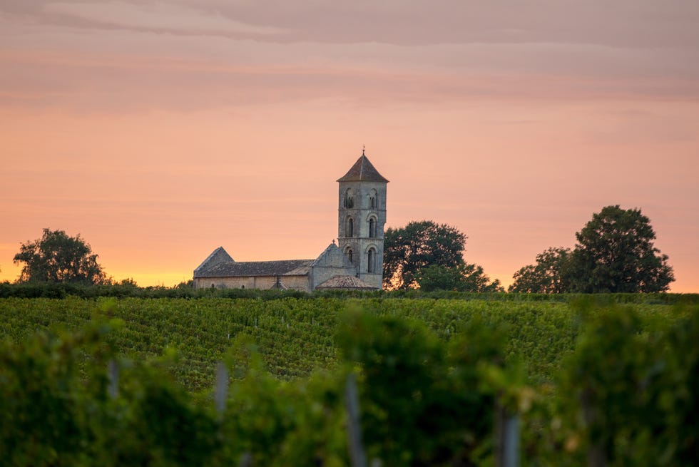 sunset over the vineyards of montagne near saint emilion gironde, aquitaine france