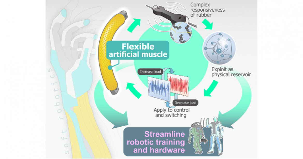 Built-in bionic computing | KYOTO UNIVERSITY