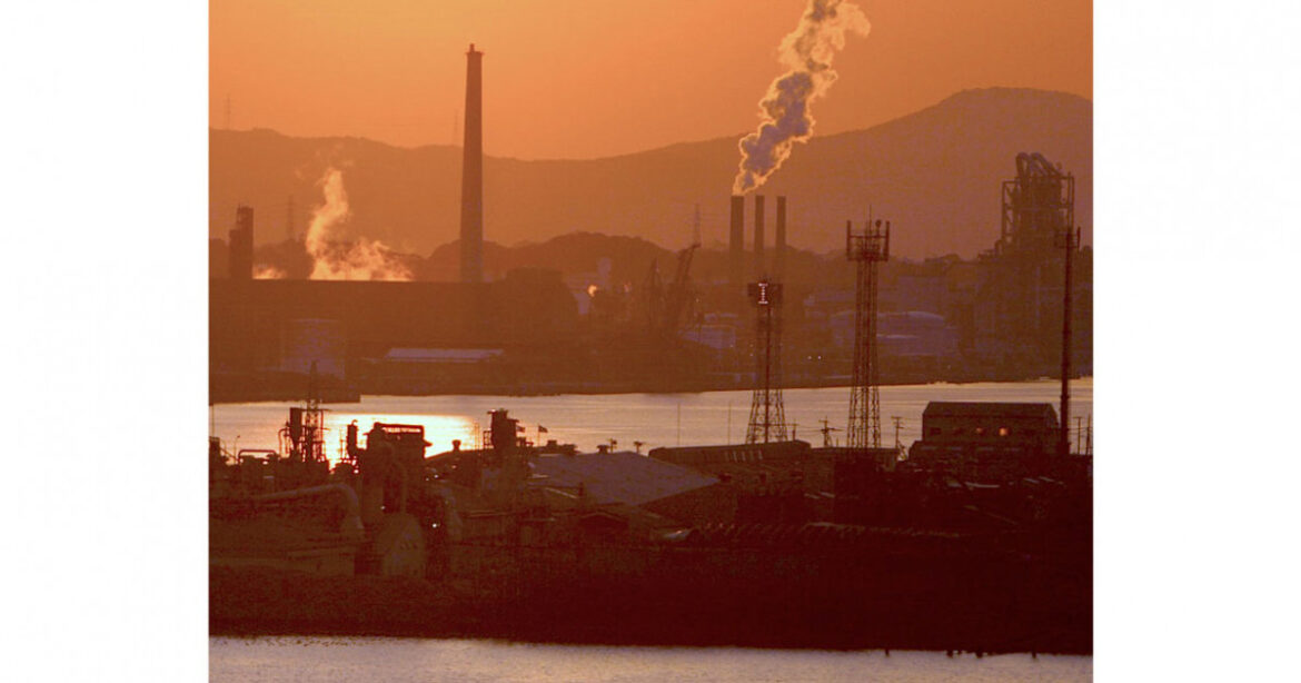 Demand for low-quality credits undermines the voluntary carbon market
