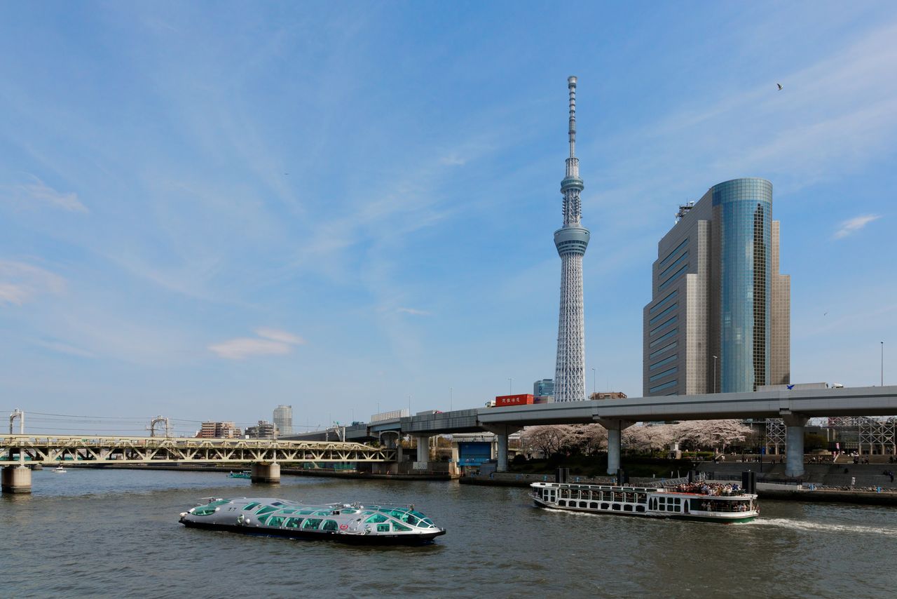 Flower-viewing from a boat on the Sumida River with Sumida’s Tokyo Skytree in the background. (© Pixta)