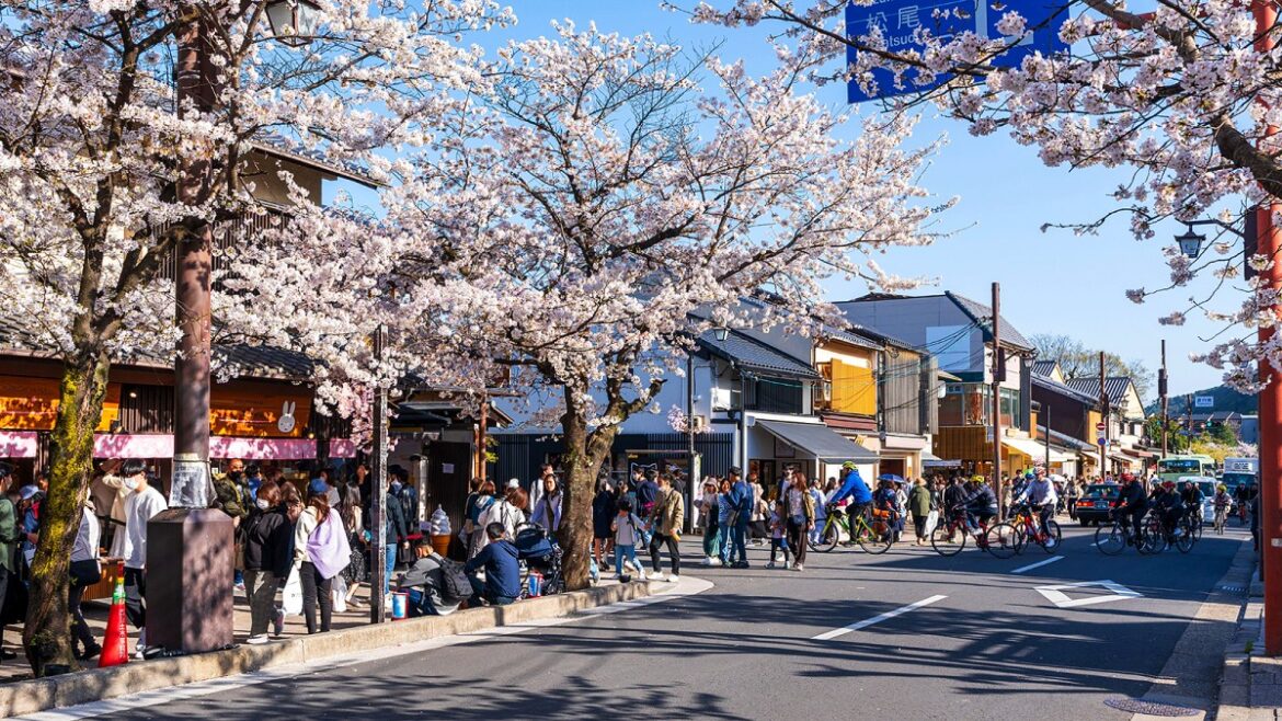 where and when to go in 2025