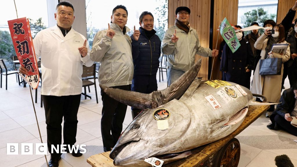 Motorbike-sized tuna sold to Tokyo sushi restaurateurs for $1.3m Motorbike-sized tuna sold to Tokyo sushi restaurateurs for $1.3m