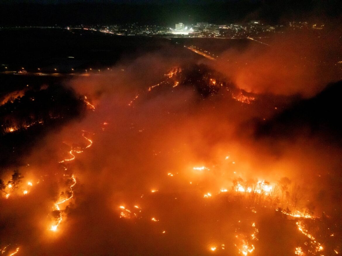 Recent spate of wildfires in Japan and South Korea linked to climate change Recent spate of wildfires in Japan and South Korea linked to climate change