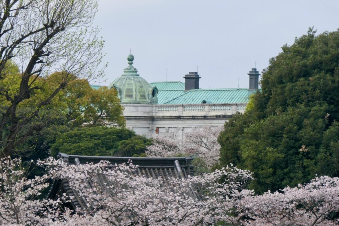 Cherry blossom-themed art to see this weekend in Tokyo