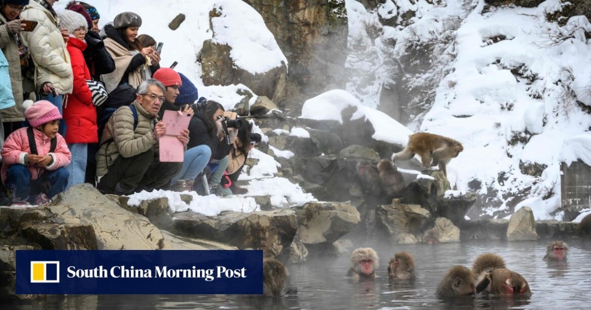 Japan weighs steep travel tax increase to fight overtourism. Will it work? Japan weighs steep travel tax increase to fight overtourism. Will it work?