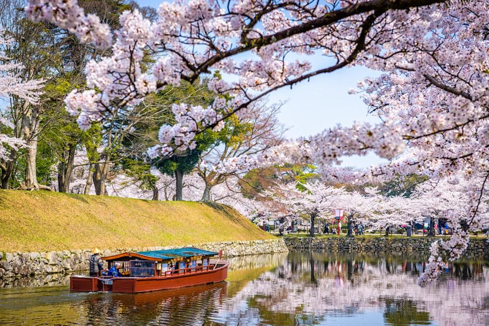 Seeing Japan’s cherry blossoms by water ((Alamy/PA))
