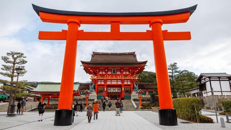 A taste of Japan